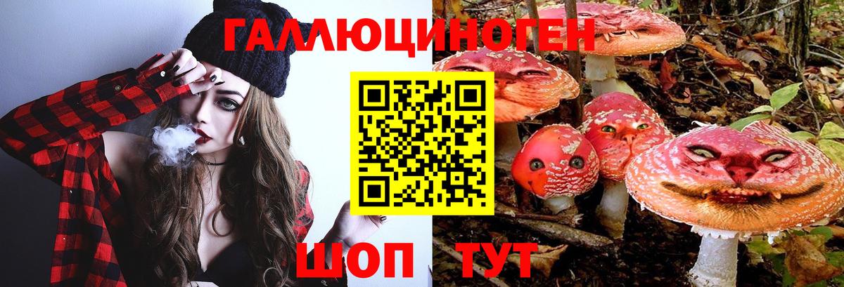 Псилоцибиновые грибы Psilocybe  Вход с VPN  Ангарск 